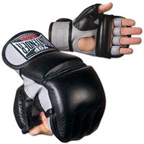 Combo Bag and Grappling Gloves